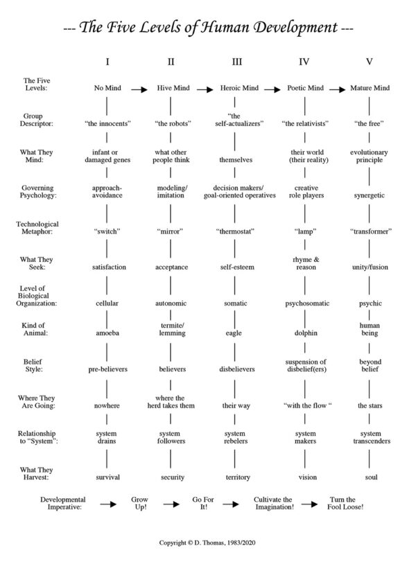 the-five-levels-david-thomas-phd